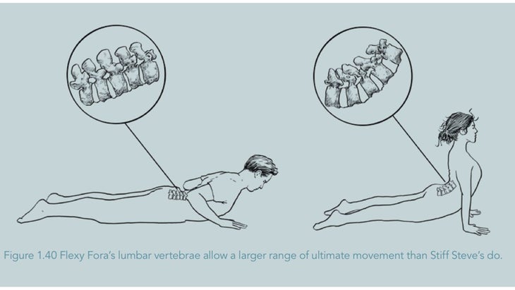 Why Inflexibility May Not Be What's Stopping You From Doing That Pose