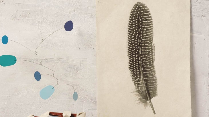 1-air-feather-pring None