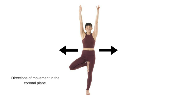 sagittal plane movements