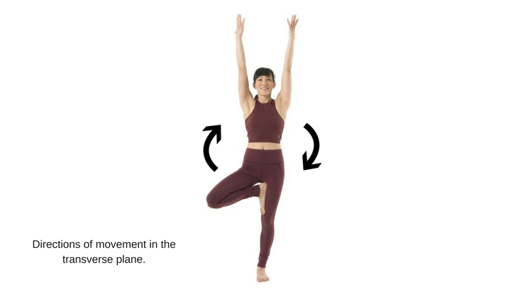 sagittal plane movements