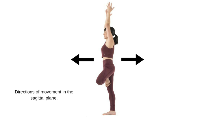 sagittal plane movements