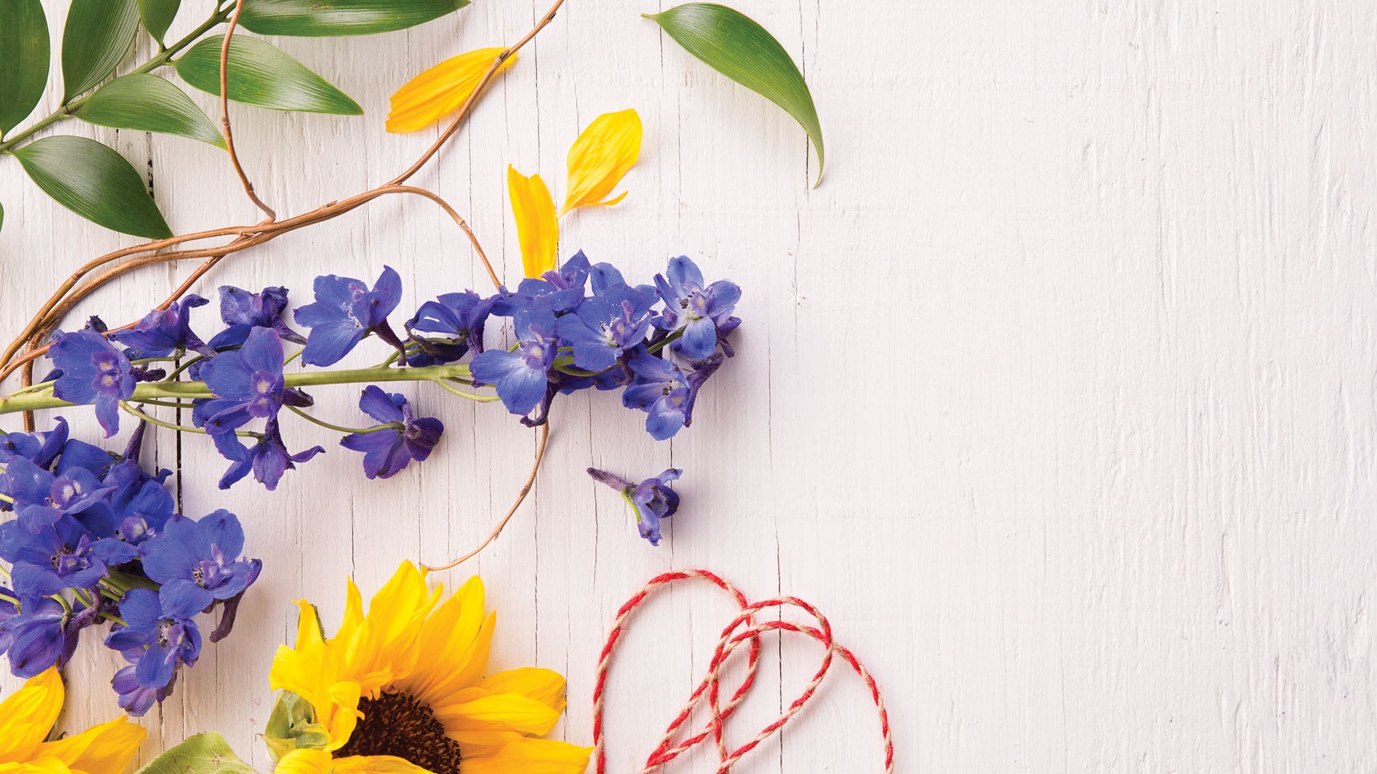 LWOpen_293_cmyk Flowers