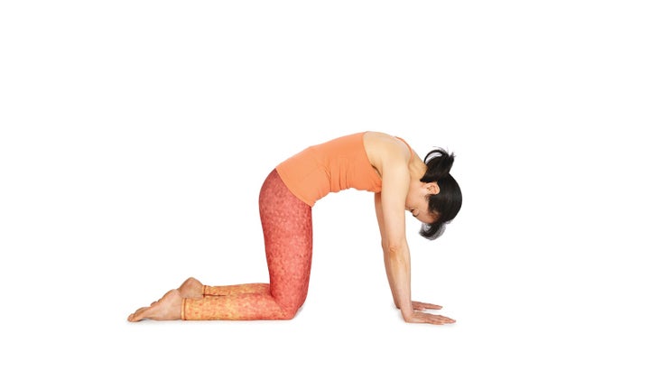 Beginner Yoga Poses: Foundational Yoga Poses to Know