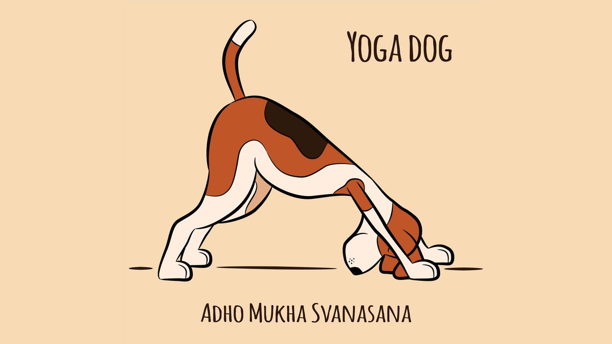 The Top Yoga Pose of 2018: Downward-Facing Dog