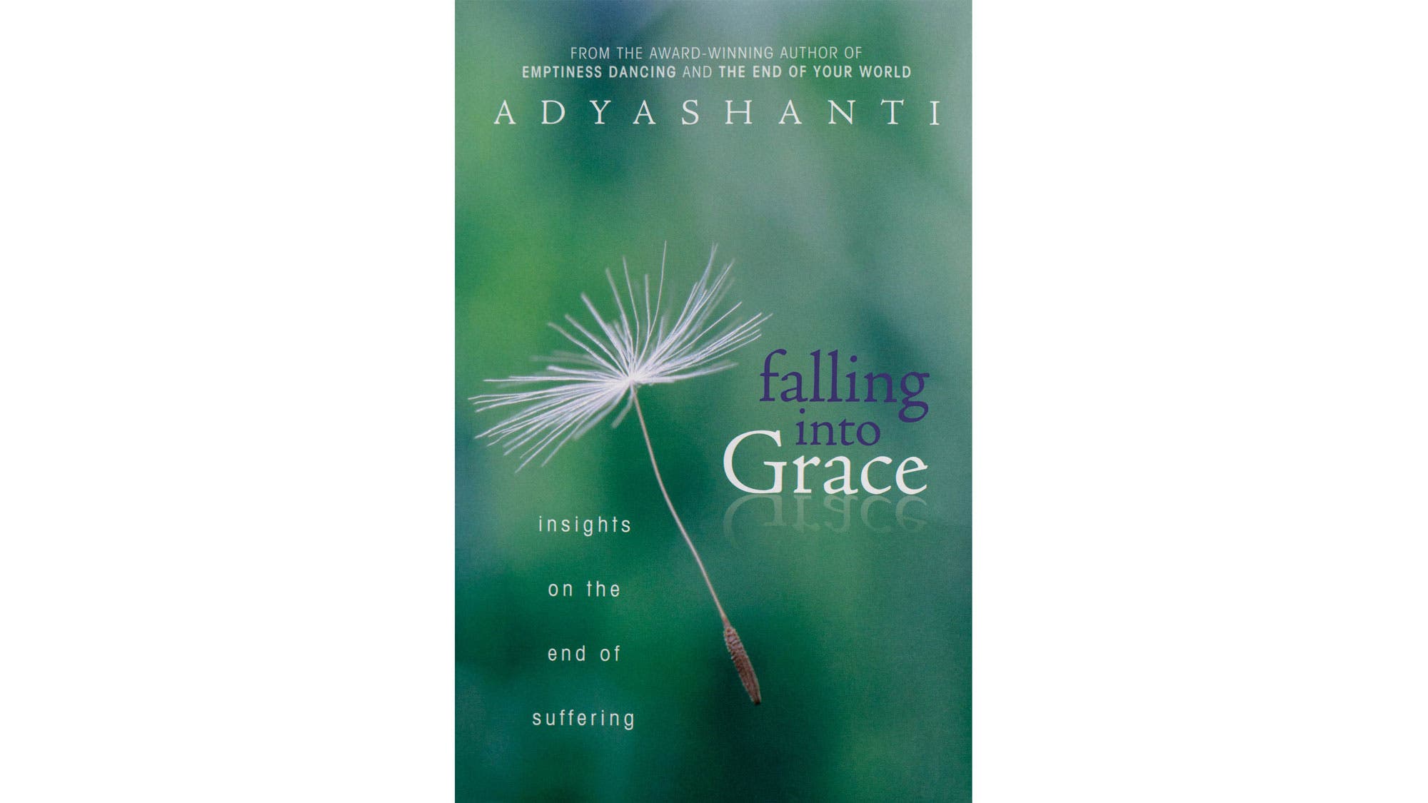 Book Club: Falling into Grace by Adyashanti