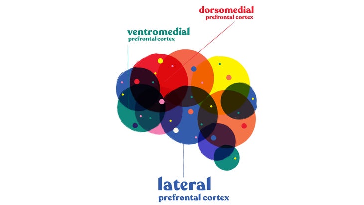 MedChall_308_Brain Your brain on meditation