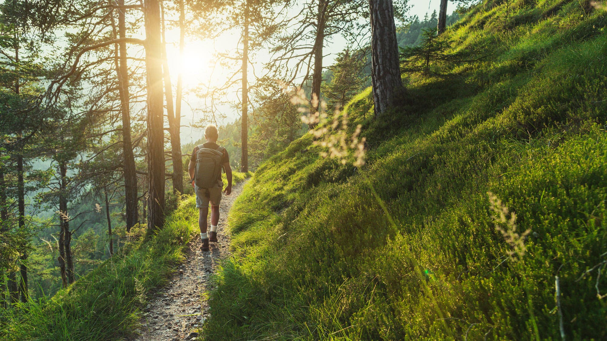 Forest Bath meditation