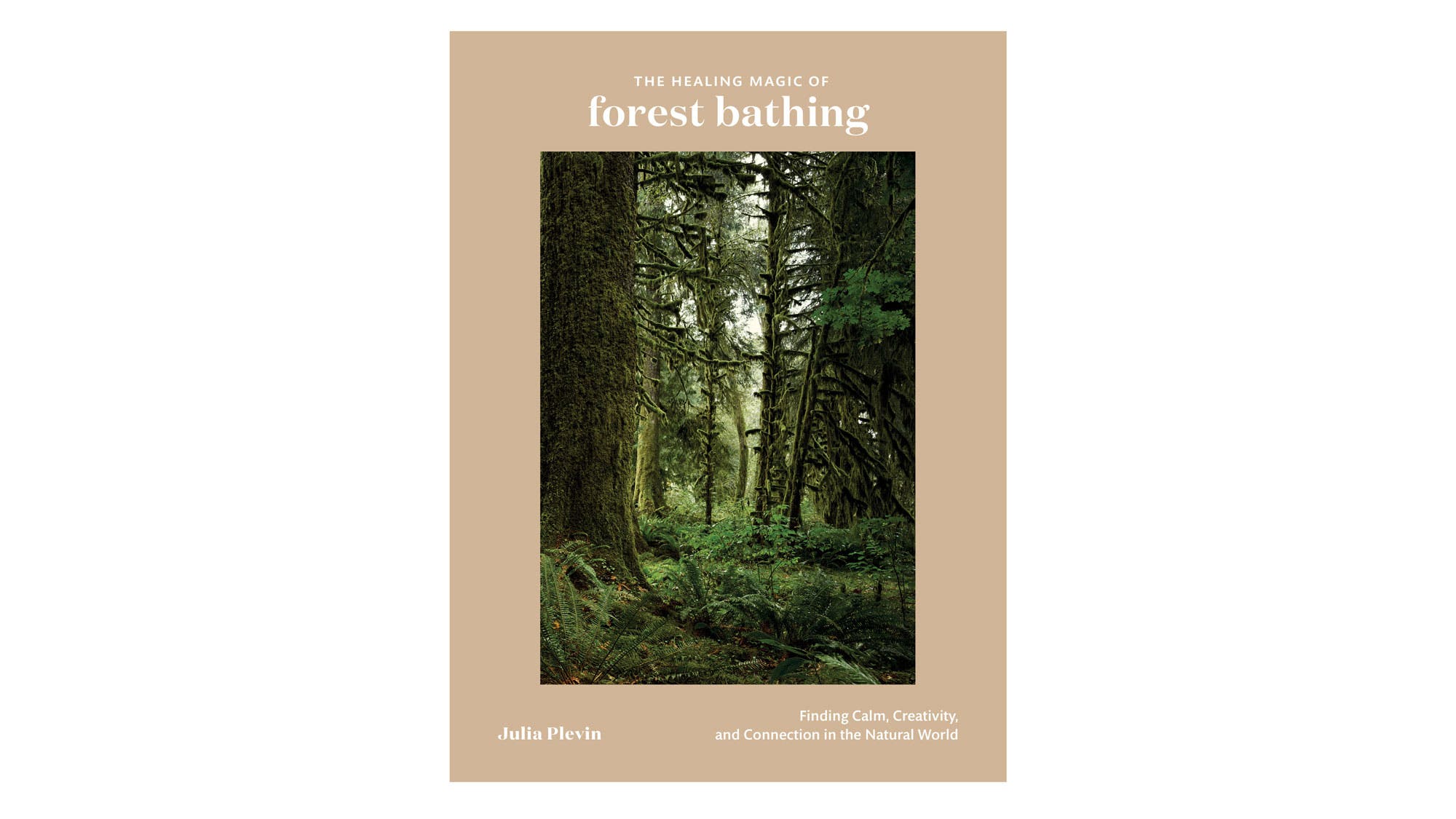 The Healing Magic of Forest Bathing