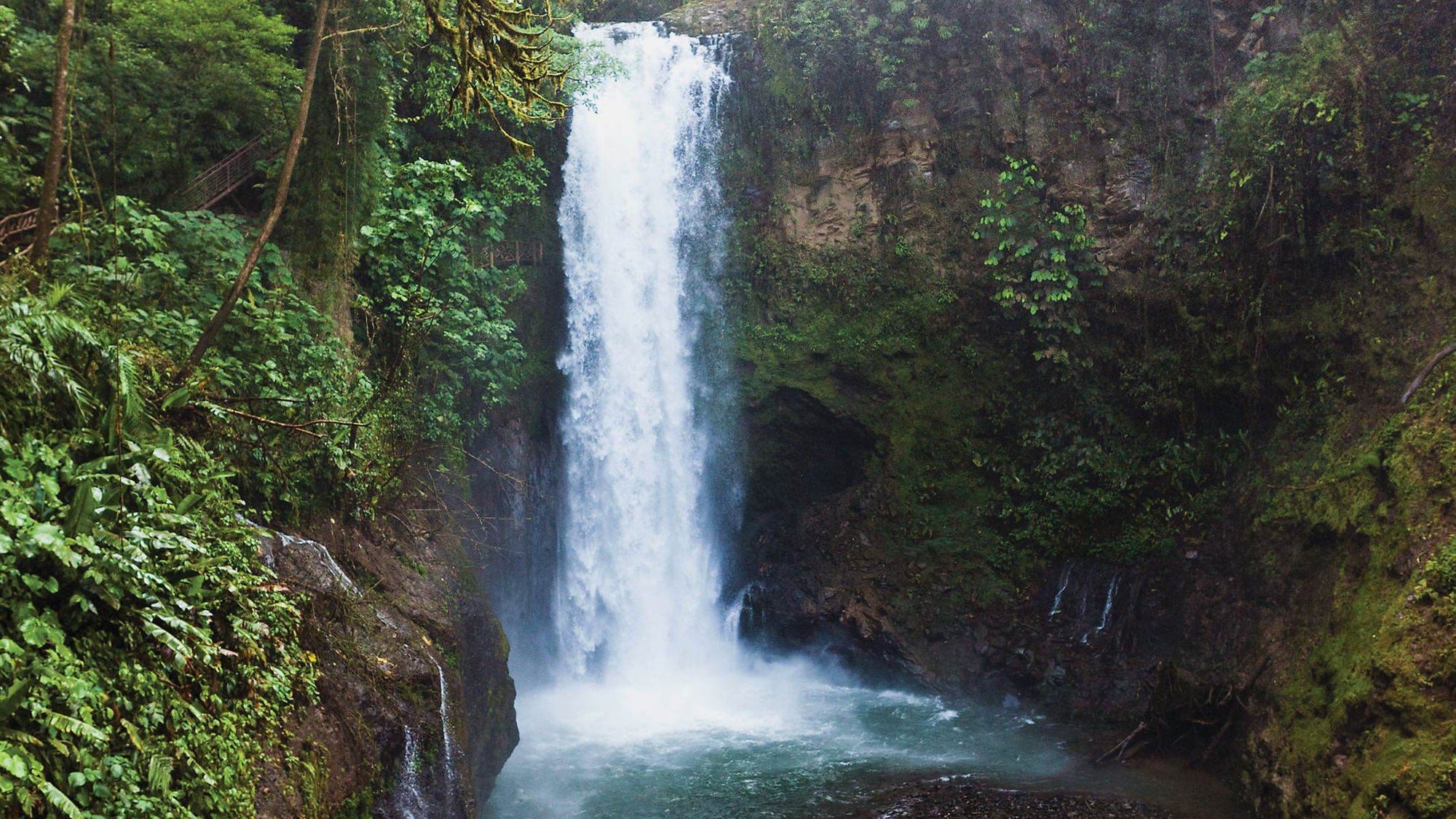 Victoria Falls in Dominica, surrounded by tropical foliage