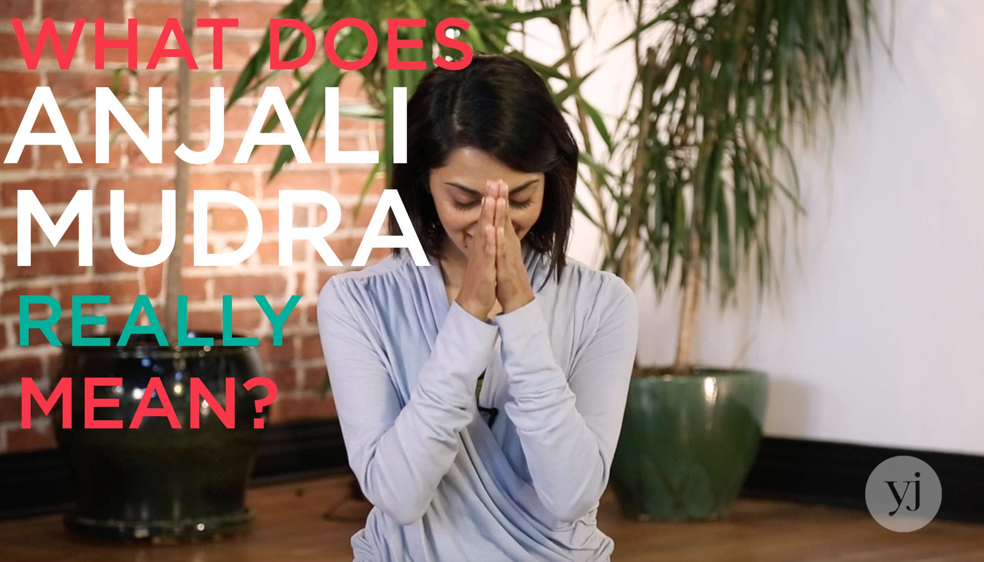 what does anjali mudra really mean?