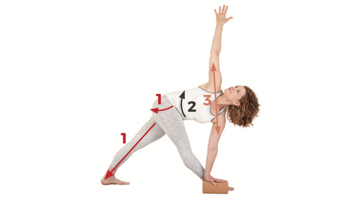 11-Revolved-Triangle-Pose Revolved Triangle Pose