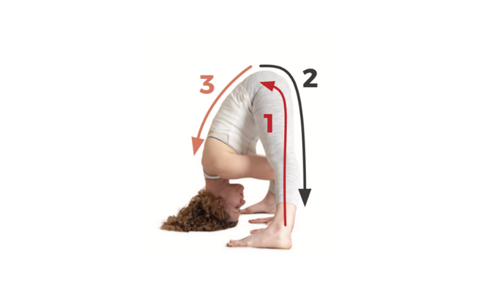 12-Wide-Legged-Forward-Bend Wide-Legged Forward Bend