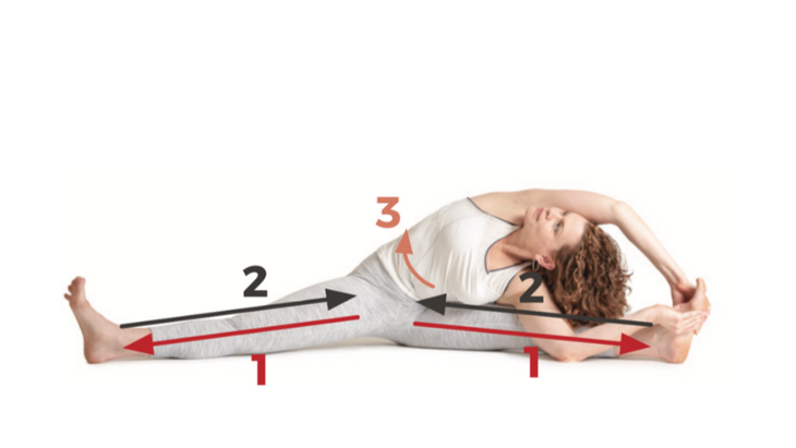 15-Revolved-Wide-Angle-Seated-Forward-Bend Revolved Wide-Angle Seated Forward Bend