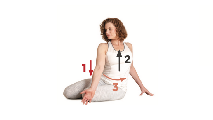 16-Bharadvajas-Twist Bharadvaja's Twist