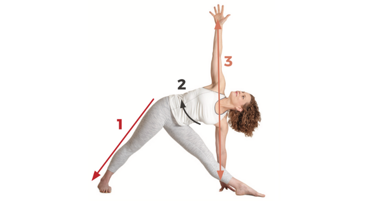 7-Triangle-Pose Triangle Pose