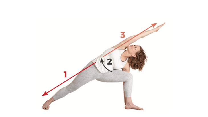 8-Side-Angle-Pose Extended Side Angle Pose