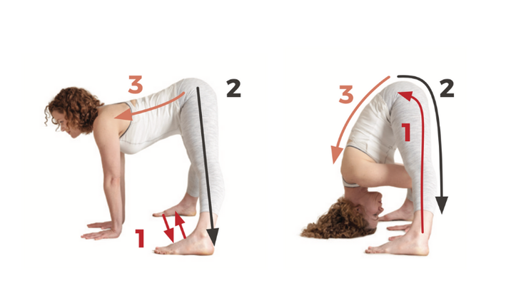 9-Wide-Legged-Forward-Bend Wide-Legged Forward Bend