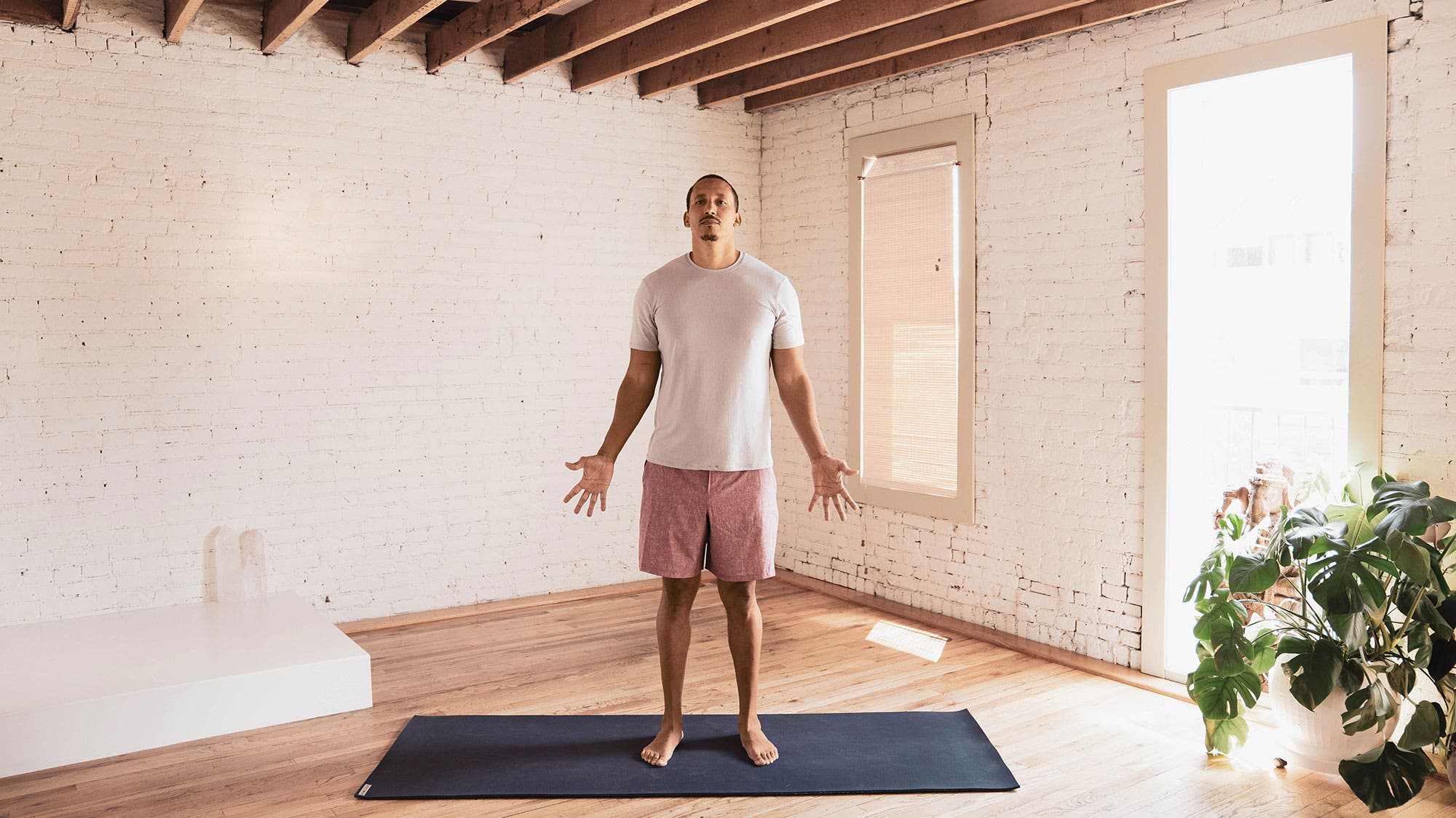 Tadasana (Mountain Pose)