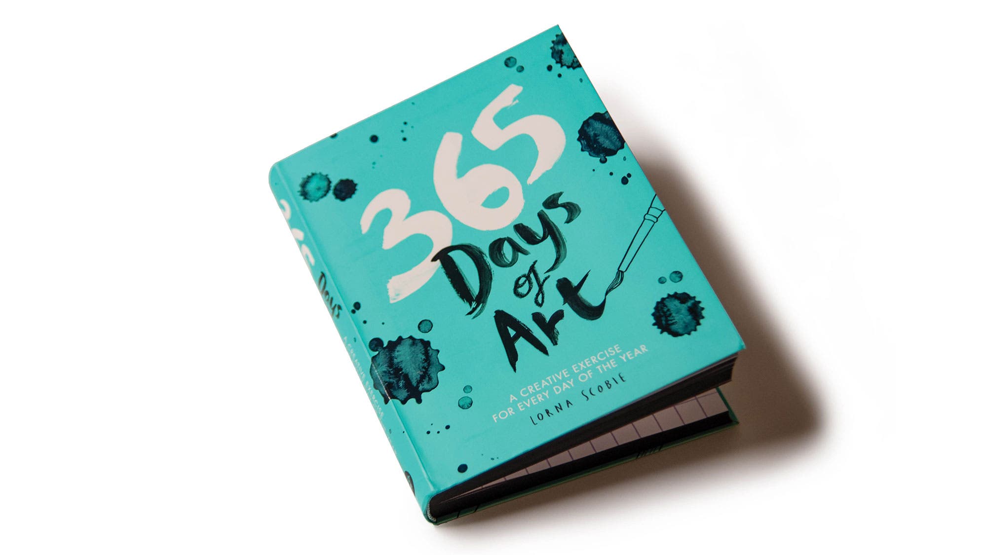 EP_315_ABE_1712_bjk_resized 365 Days of Art