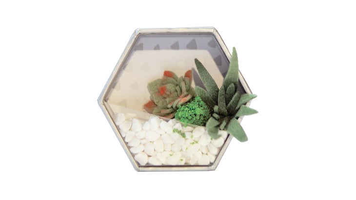 EP_315_ABE_1771_bjk_resized Craft Crush Mini Terrariums Kit