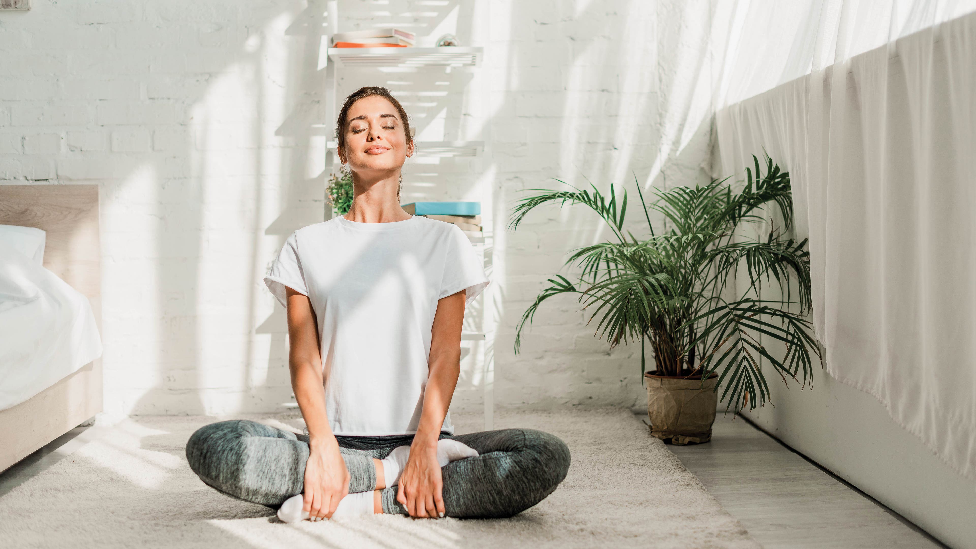 Vastu-316-iStock-1184595440_bjk None