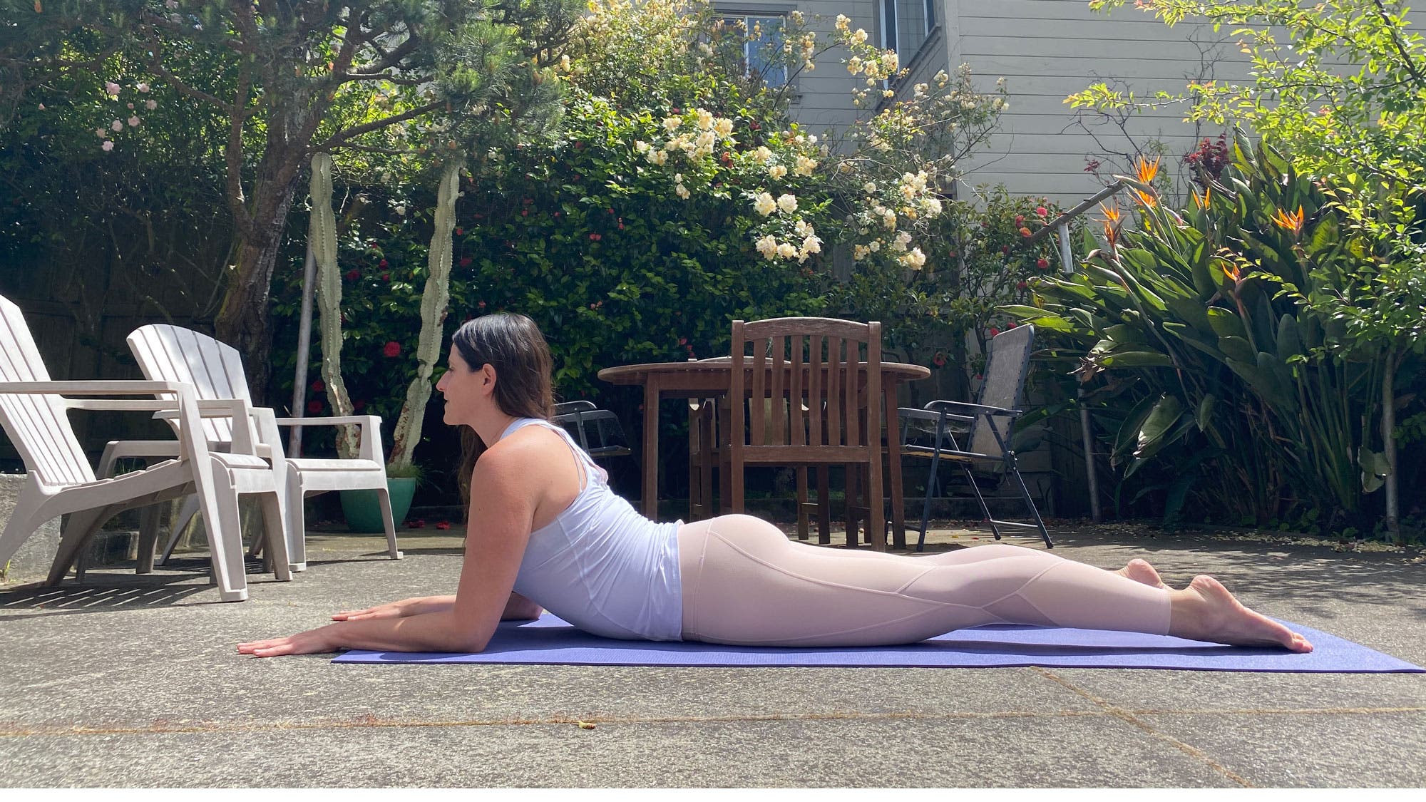 web-Sphinx-Sarah-Erzin None