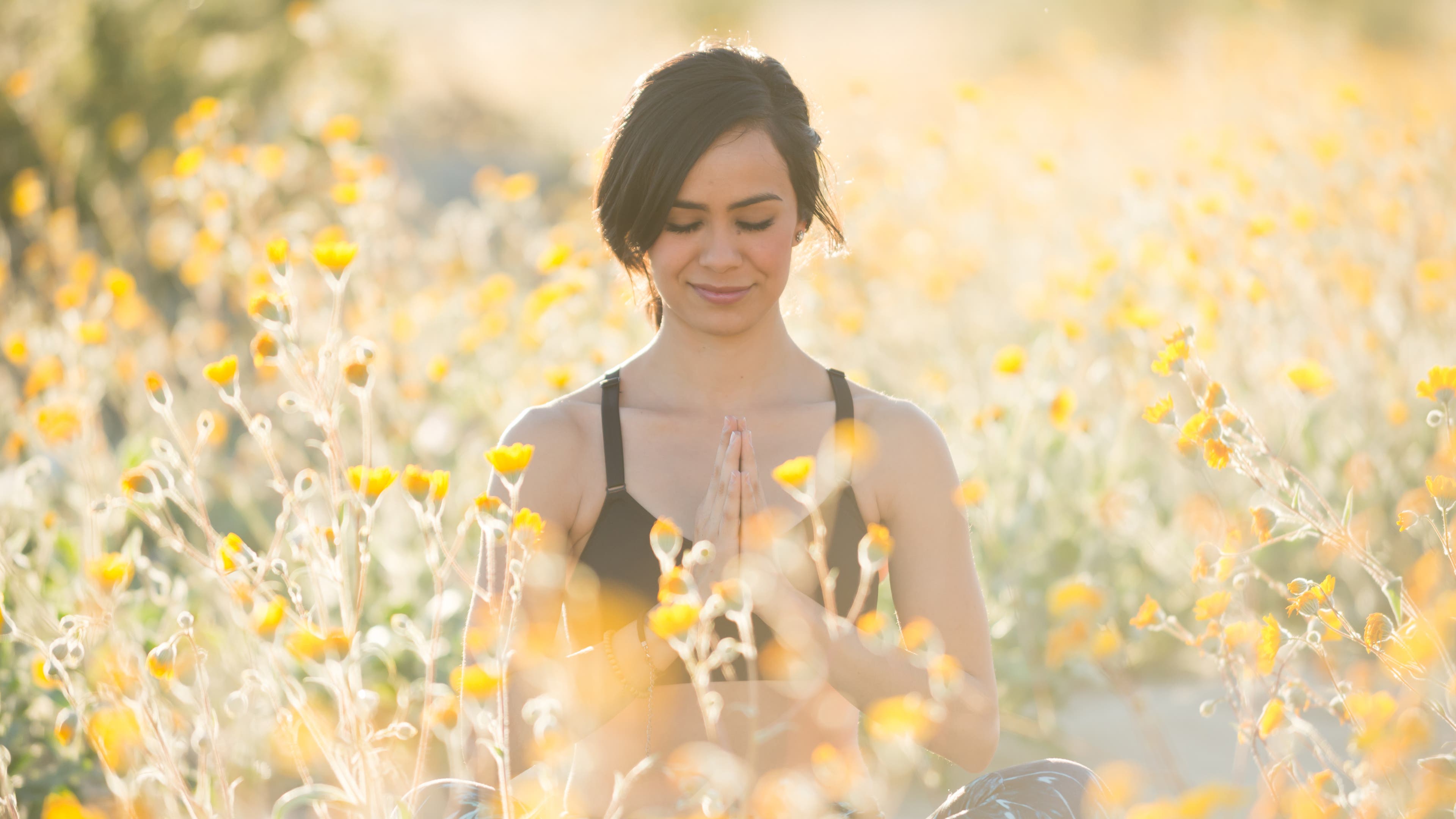 iStock-661970748 None