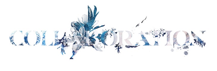Collab_LG None