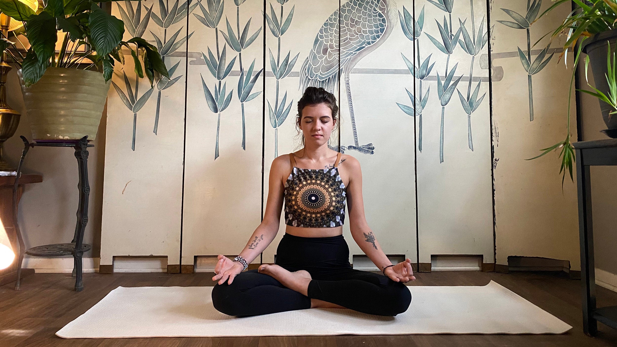 Winter Wellness evening of Yin Yoga and Restorative Yoga - Yoga Lily | Yoga  Tai Chi Qigong Wellness