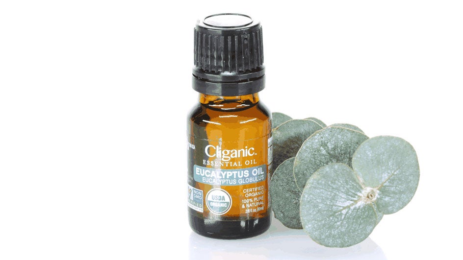 Product Review: Cliganic Organic Eucalyptus Oil