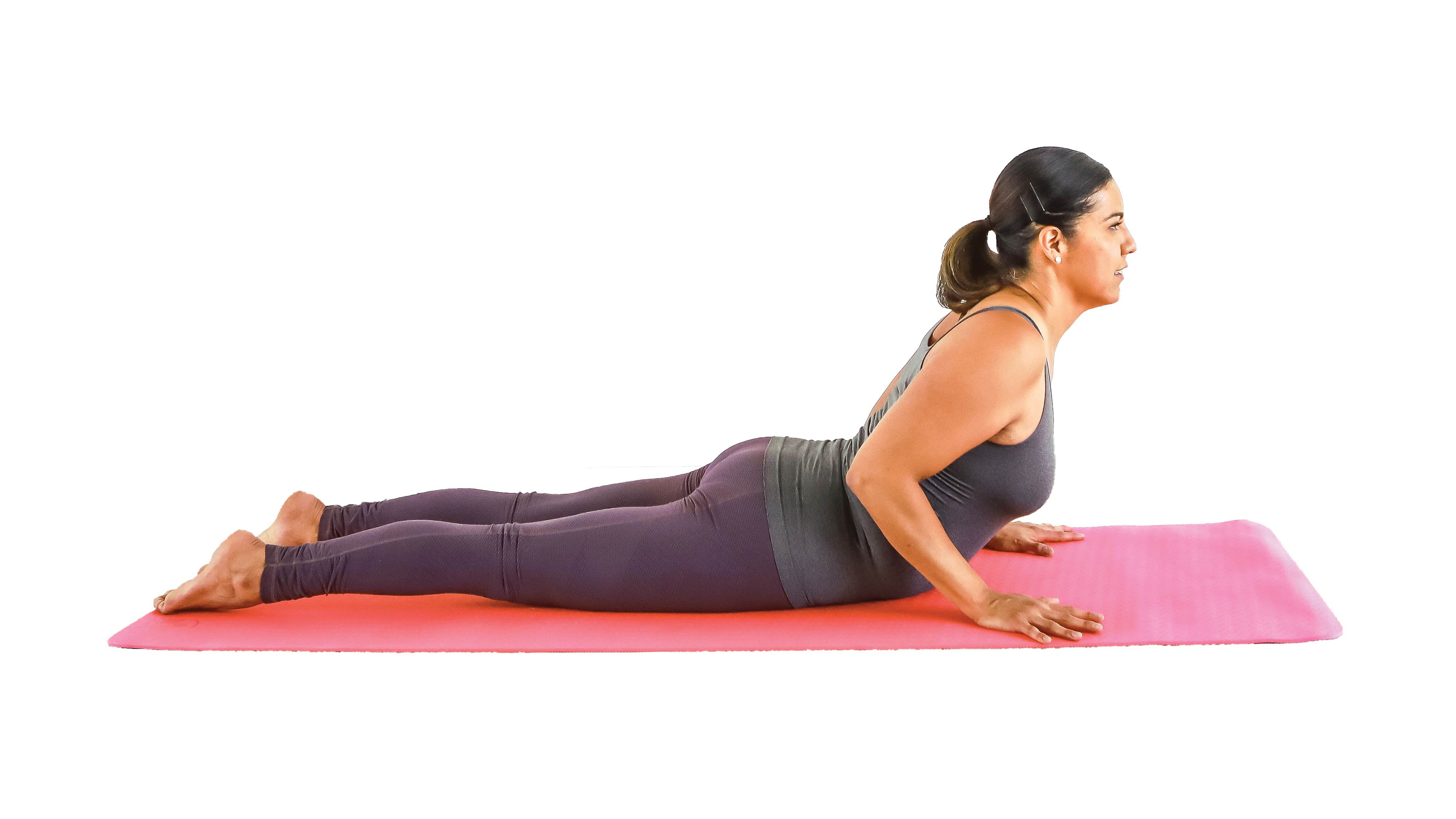 Phoenix Rising Yoga Therapy: A Bridge from Body to Soul: Lee
