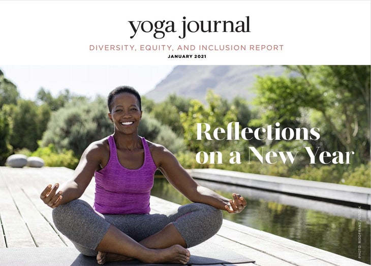 Screenshot of top half of diversity report