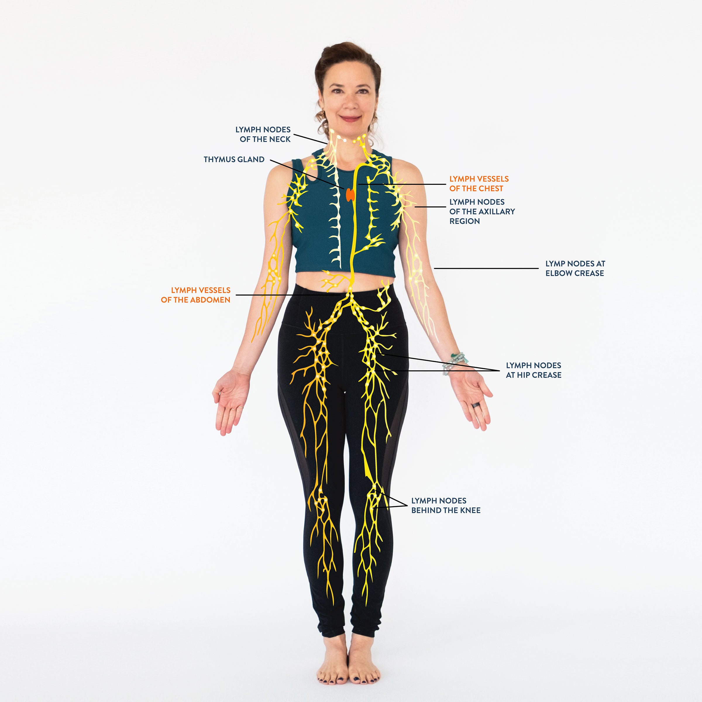 6 Yin Yoga Poses for Improved Immune System - Yoga with Kassandra Blog