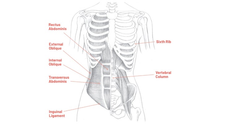 Primus Hospital Nigeria - Keep your core muscles strong !! Weak or tight “ core” (back and abdominal) #muscles cannot support your back properly,  leading to pain and injury risk. Work with a