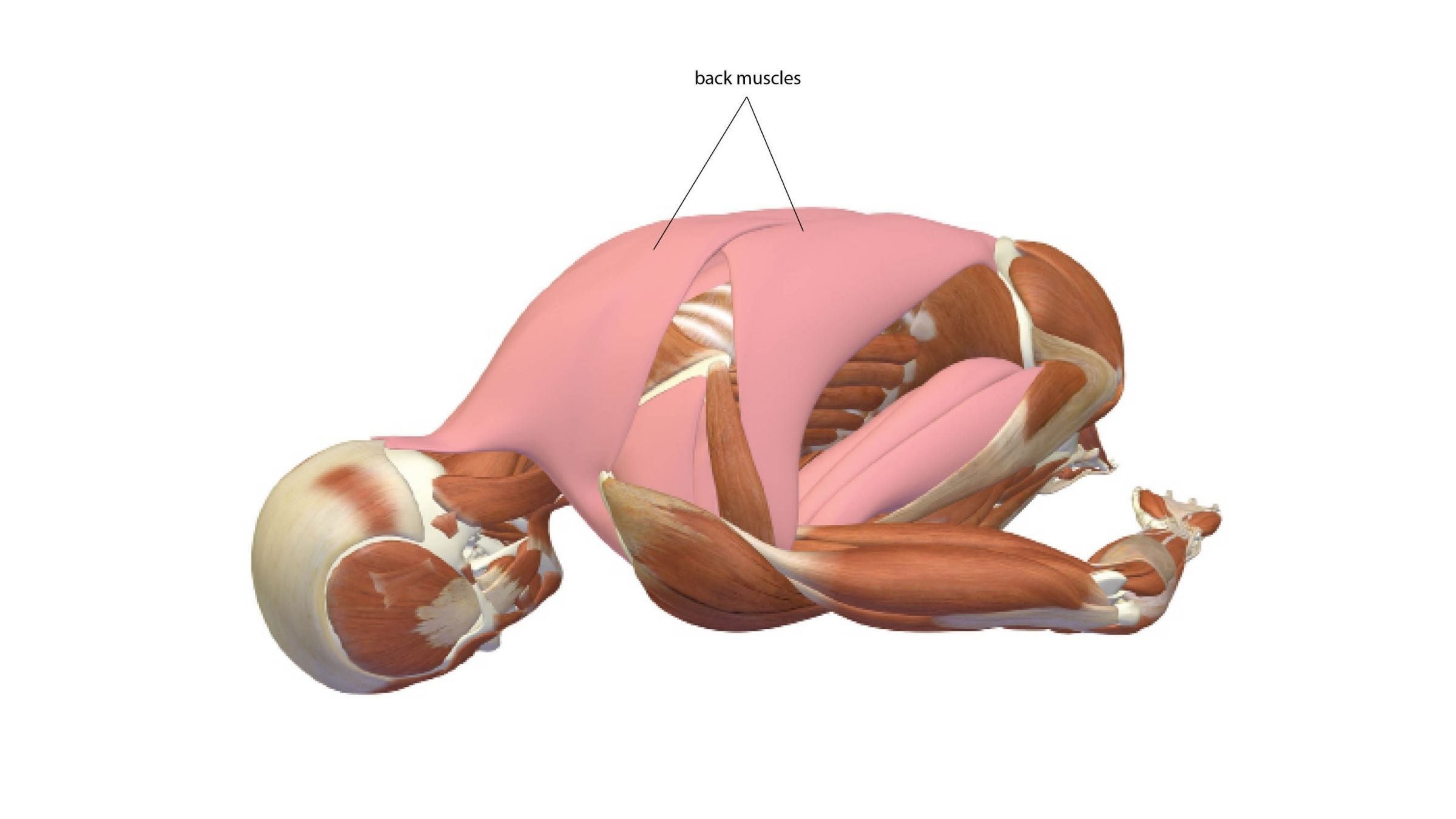 Supported Balasana: Child's Pose — santosha spirit