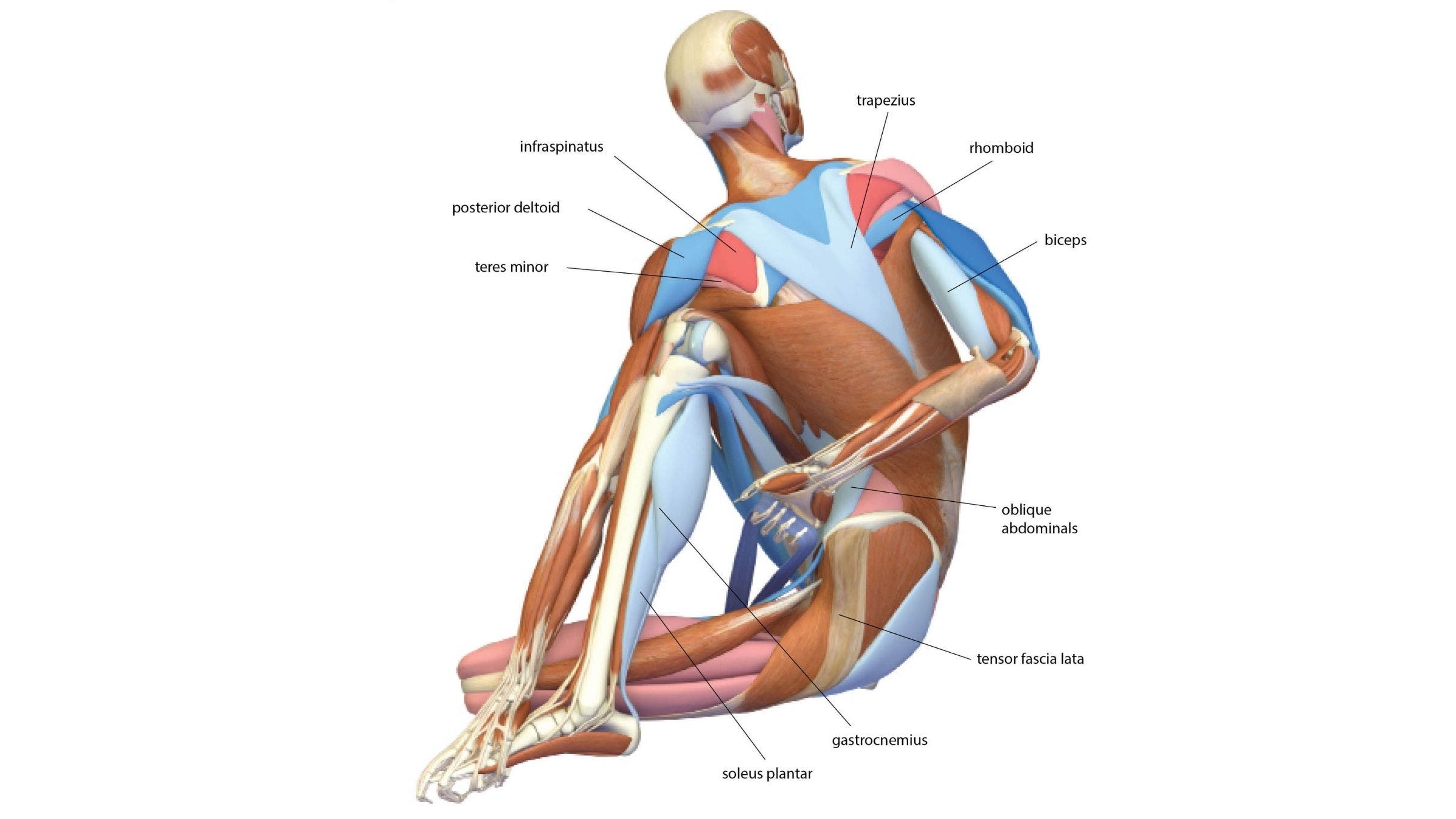 Half Lord of the Fishes Pose: Ardha Matsyendrasana