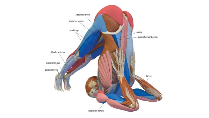 Complete Plow Pose: Halasana