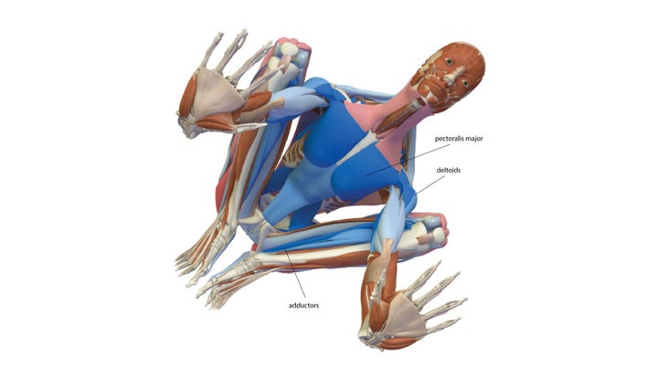 Yoga Exercise: Crow Pose (Bakasana) To Add Muscle Mass & Reduce Skinny Fat, Workout At-Home (Mat/No Equipment)
