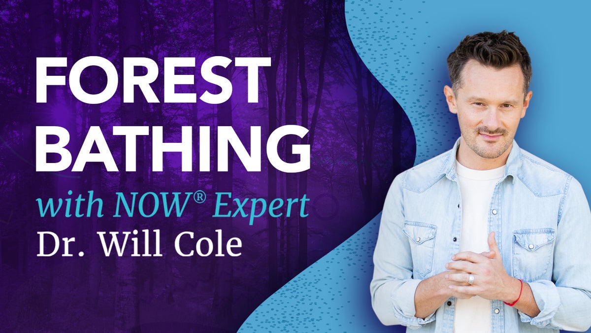 Forest Bathing Yoga Journal