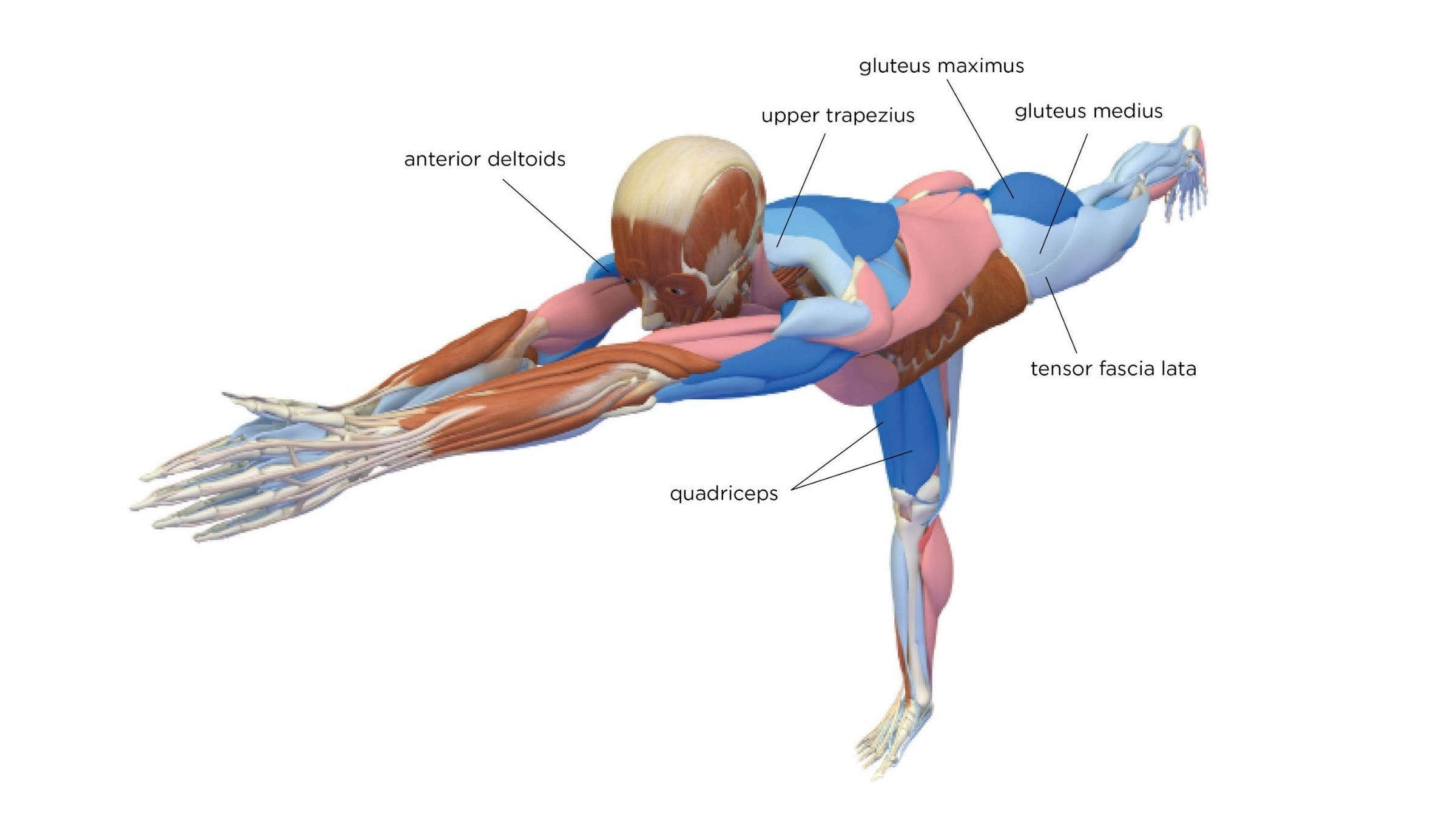 Warrior III Pose Virabhadrasana III