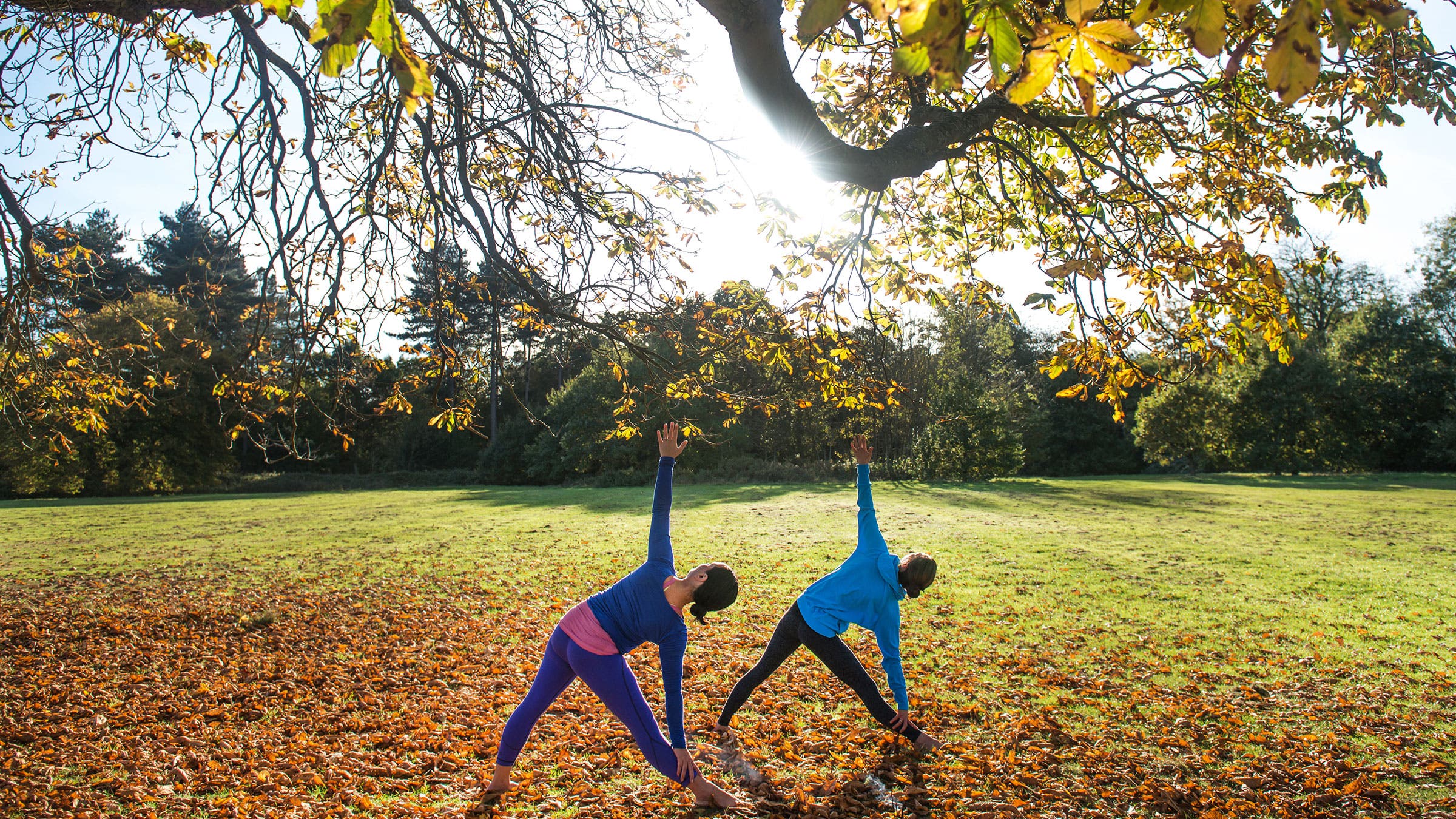 Two women practice Triangle Pose in a park on top of fallen leaves during the fall season