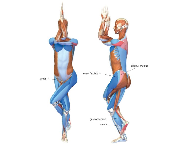 An anatomy illustration shows the body in Eagle Pose