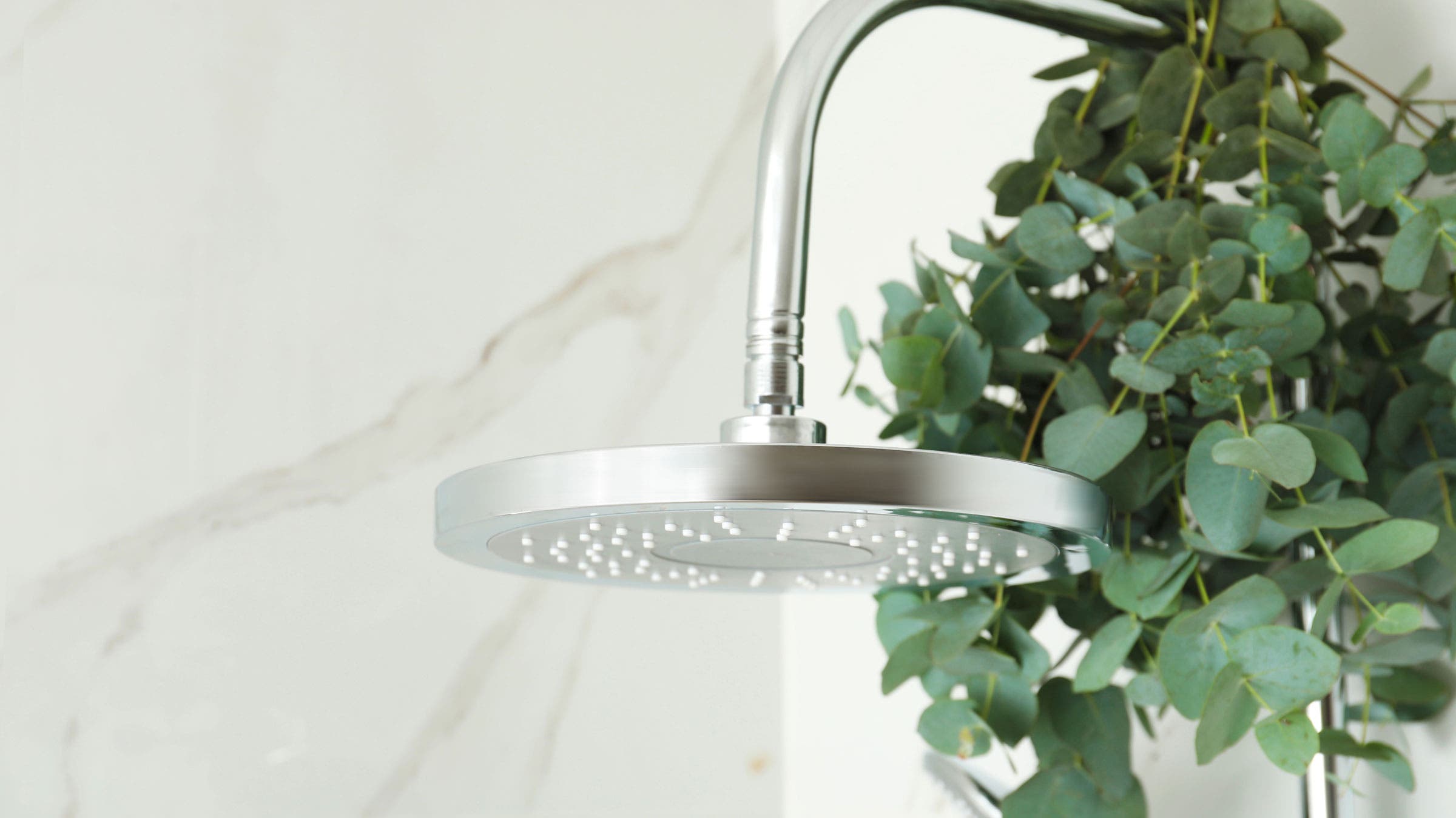 Why Is Everyone Hanging Eucalyptus In Their Shower?