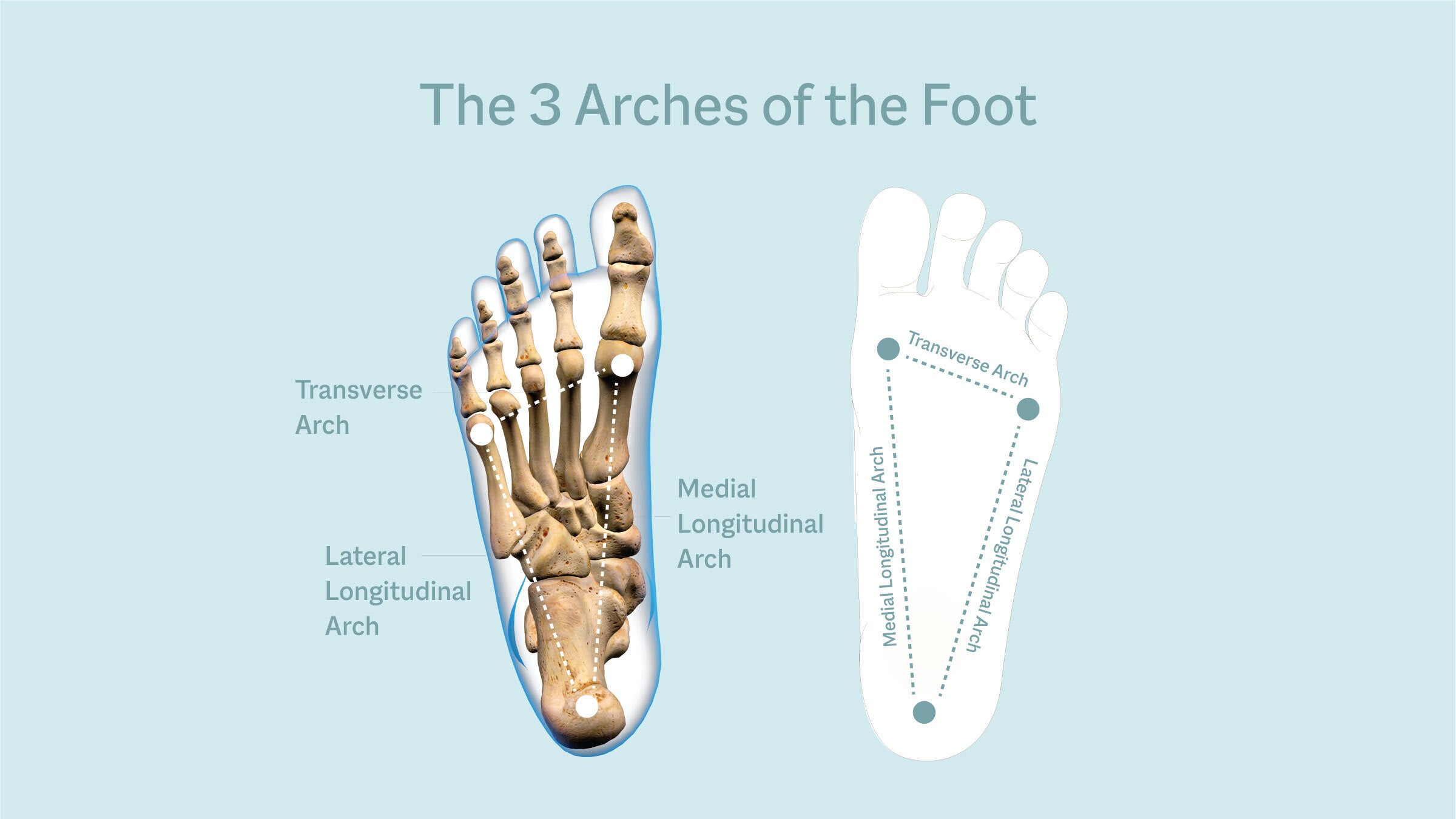 Yoga Alignment Cue Decoded