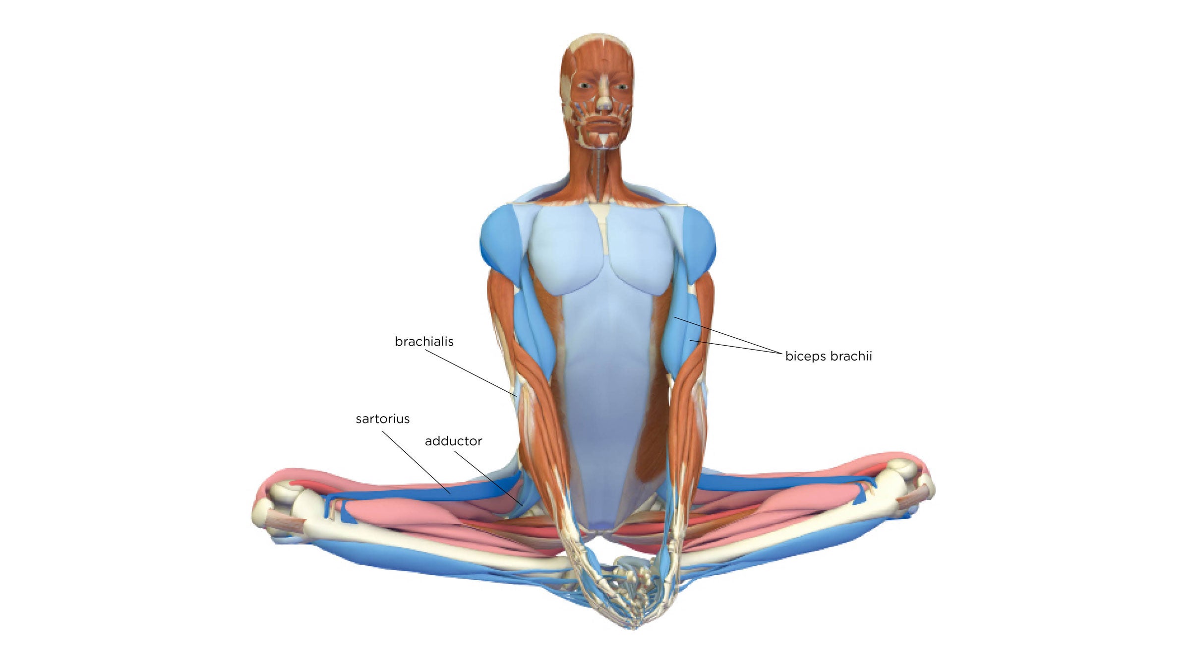 Yoga Pose Tutorial | Bound Angle - YouTube