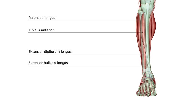 Yoga Alignment Cue Decoded: Lift Through The Arch Of Your Foot