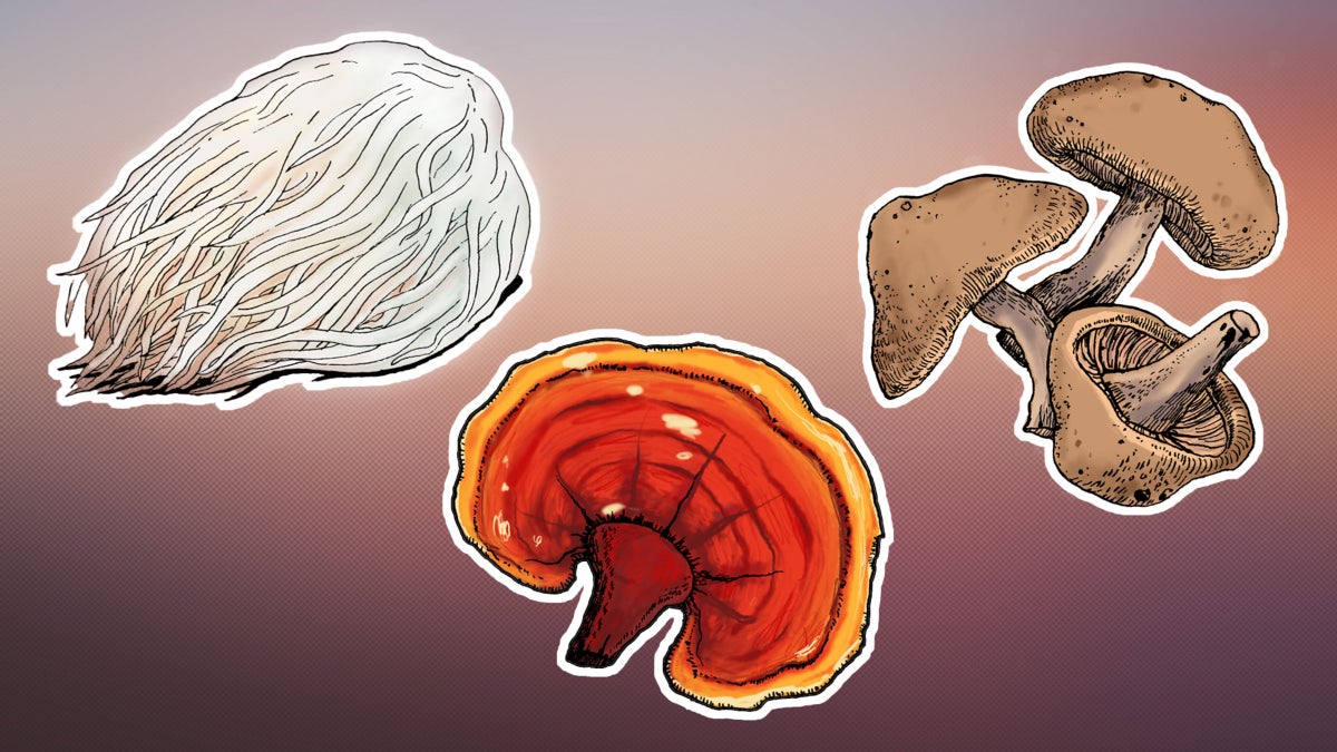 The Surprising Mental Health Benefits of Mushrooms