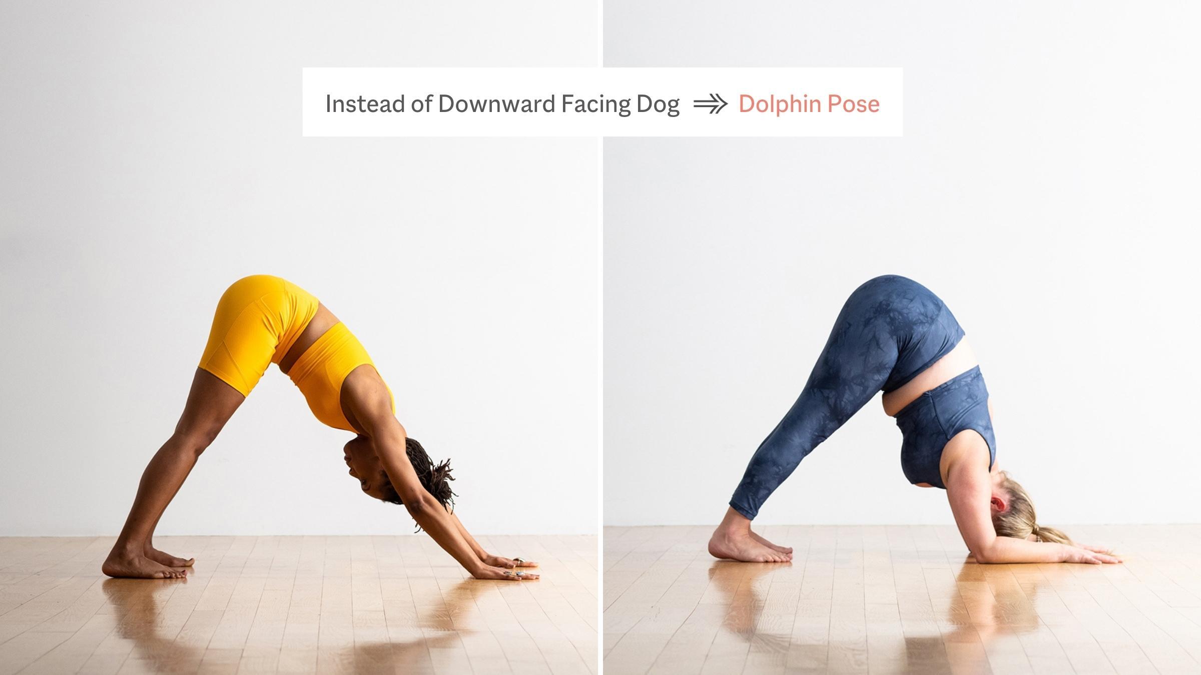 What is dolphin yoga pose good for? Easy ways to incorporate it into daily  routine | The Times of India
