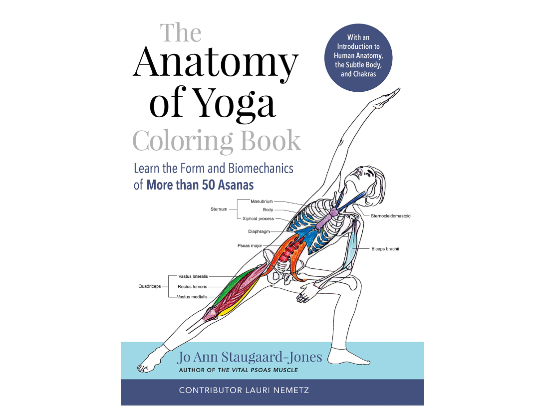 Yoga Anatomy: Teaching Yoga Essential Foundations and Techniques - A New  View at Yoga Poses by Scott Thourson | Goodreads