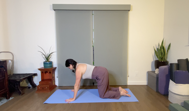 A woman with dark hair wearing purple pants pauses between Cat/Cow poses